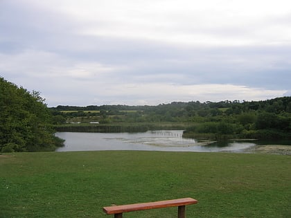cosmeston lakes country park cardiff