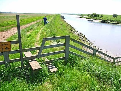 hen reedbeds suffolk coast national nature reserve