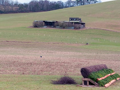 buckfastleigh racecourse