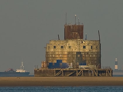 humber forts