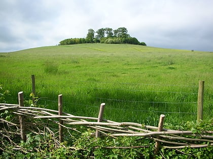 wittenham clumps