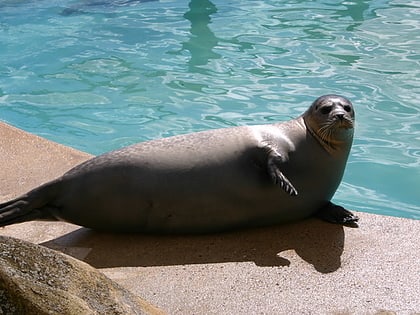 Natureland Seal Sanctuary