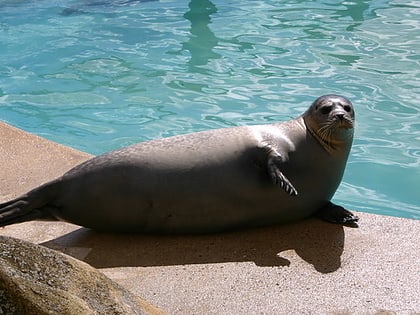 natureland seal sanctuary skegness