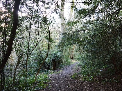 shrubhill common hemel hempstead