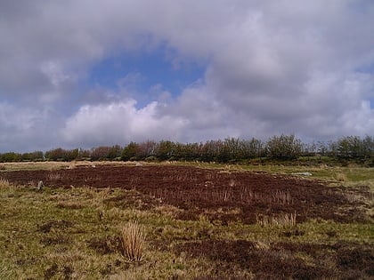 Porlock Stone Circle