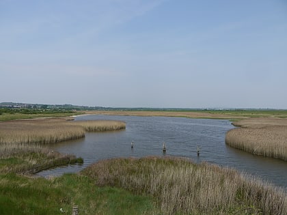 farlington marshes portsmouth