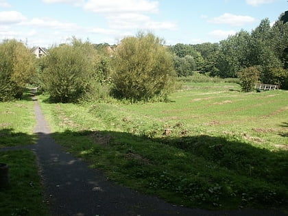 tolls meadow wymondham