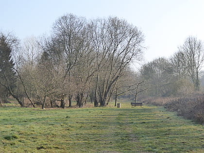 Hempstead Meadow