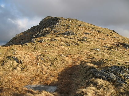 buidhe bheinn knoydart