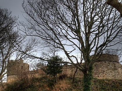 castell aberlleiniog llangoed common