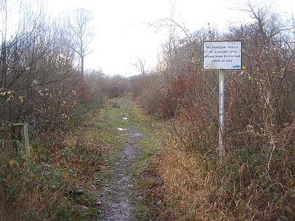 Chattenden Woods and Lodge Hill