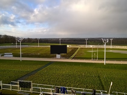 towcester greyhound stadium