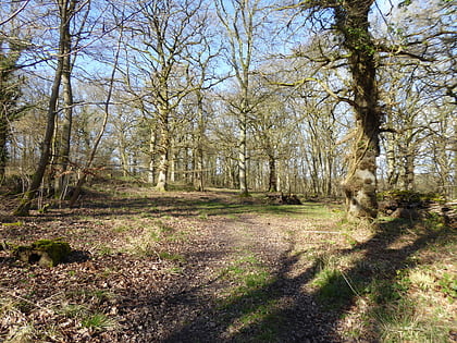 Catmore and Winterly Copses