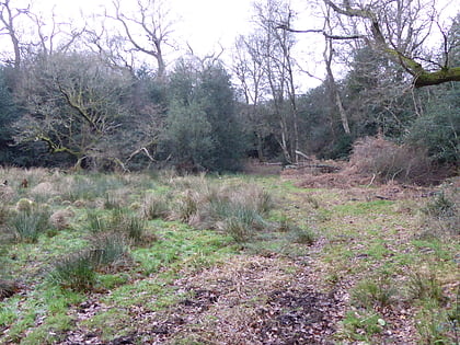 charleshill sssi elstead