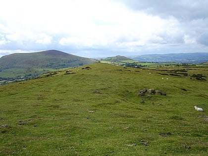 stapeley hill