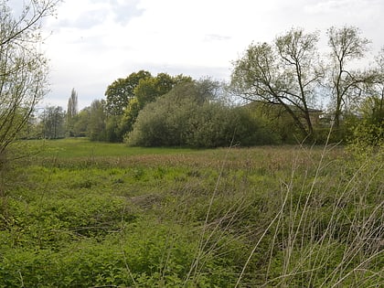 bull meadow colchester