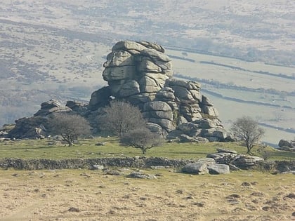 vixen tor princetown