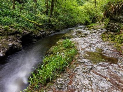 lydford gorge tavistock