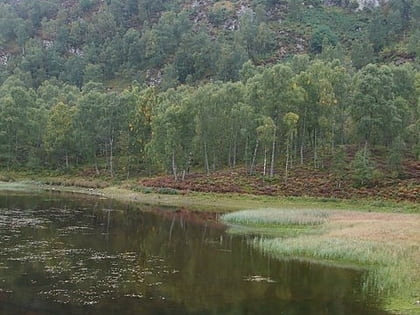 craigellachie national nature reserve parque nacional cairngorms