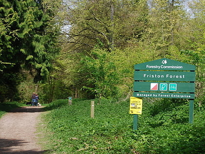 Friston Forest