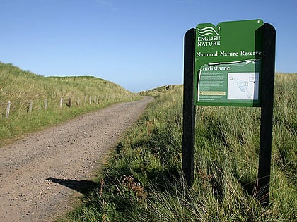 lindisfarne national nature reserve