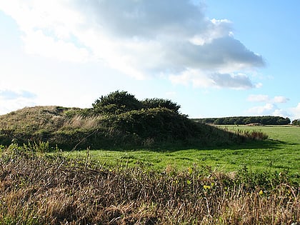 robin hoods butts ringdown sssi