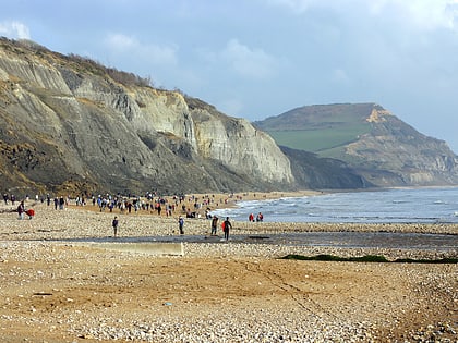 golden cap charmouth