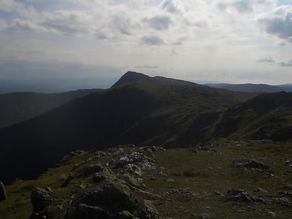 erw y ddafad ddu snowdonia