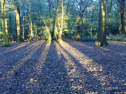 coldfall wood londres