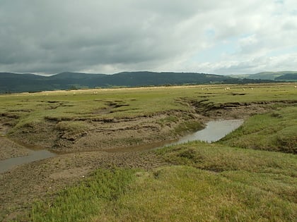 dyfi estuary mudflats dyfi national nature reserve
