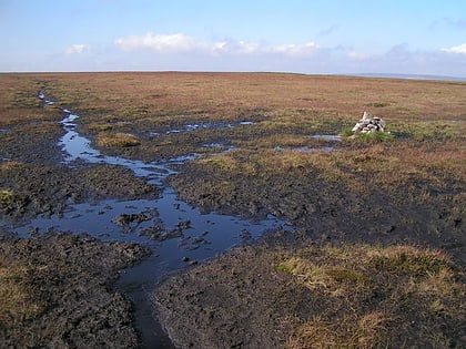 featherbed moss crowden in longdendale