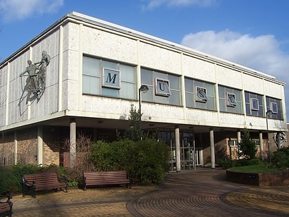 doncaster museum and art gallery