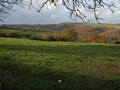 woodchester park sssi stonehouse