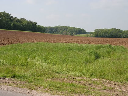 acthorpe lincolnshire gate