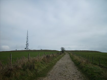 The Trundle