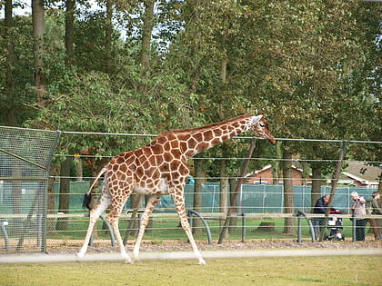Zoo de Twycross