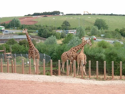 South Lakes Safari Zoo