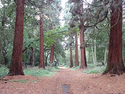 Havering Country Park
