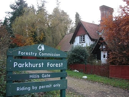 parkhurst forest isla de wight