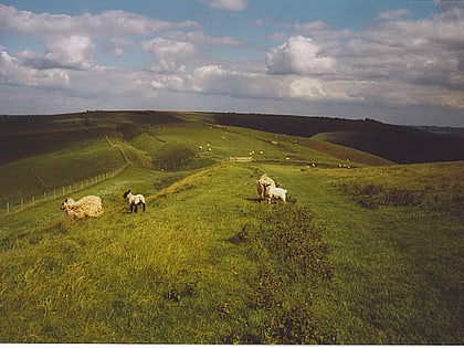 tan hill avebury