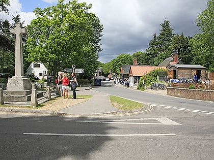 burley new forest