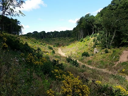 churston woods brixham