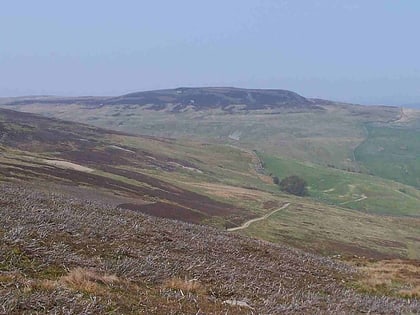 lovely seat park narodowy yorkshire dales