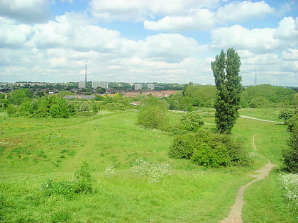 south norwood country park londyn