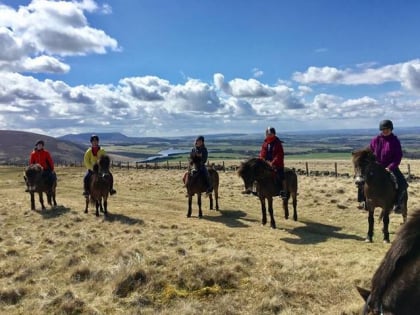 Edinburgh University Exmoor Pony Trekking