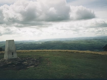 the calf park narodowy yorkshire dales