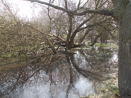 ickenham marsh londres