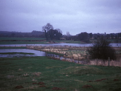 Nedern Brook Wetlands