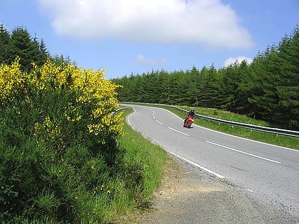 wauchope forest