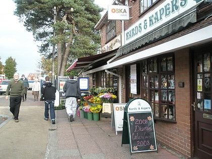 locks heath